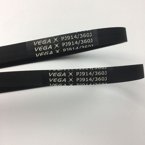 Lotto cinghia vega - 2,
