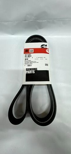 Nuovissima cinghia coste - nuovissima, a